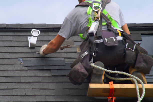 Best Roof Gutter Cleaning  in Salamanca, NY