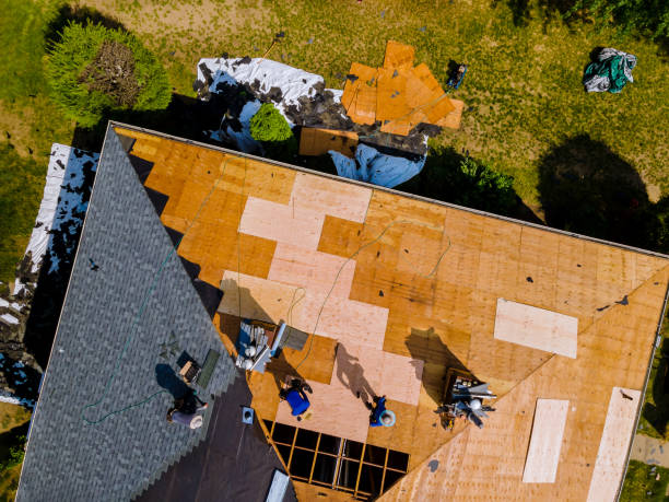 Best Storm Damage Roof Repair  in Salamanca, NY