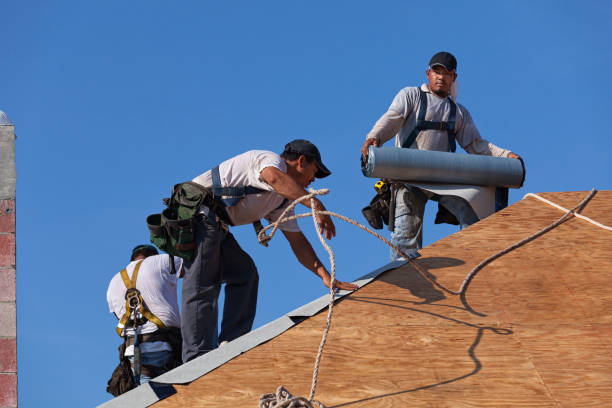 Best Roof Maintenance Services  in Salamanca, NY