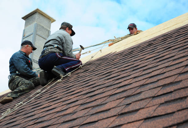 Best Roof Waterproofing Services  in Salamanca, NY