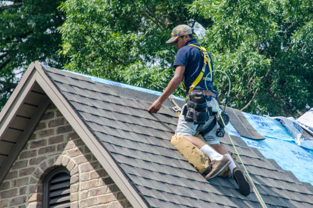Best Roof Repair Services  in Salamanca, NY